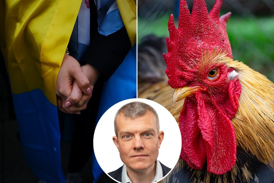 Vi såg ett ”chicken rally”, alltså fegisrally, i fredags när EU och USA presenterade ganska tomma sanktioner på grund av invasionen av Ukraina, skriver Peter Benson.