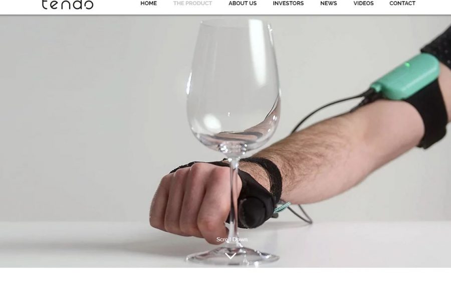 Tendo: En handfast IPO? - Tendo