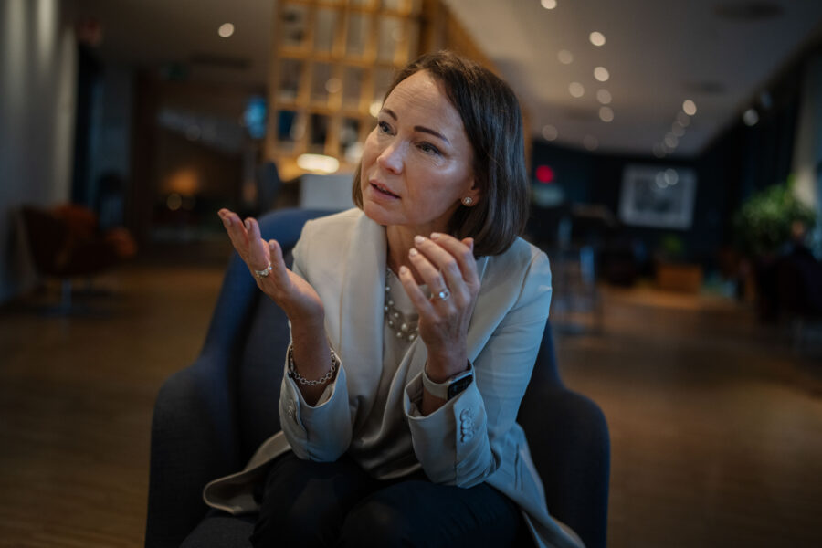 Ann Grevelius under en intervju med Affärsvärlden i januari i år.