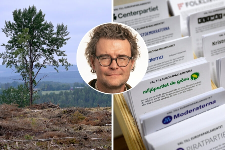 Lindvall: Släpp EU-populismen – nu krävs pragmatism i skogen - skog-eu-lindvall