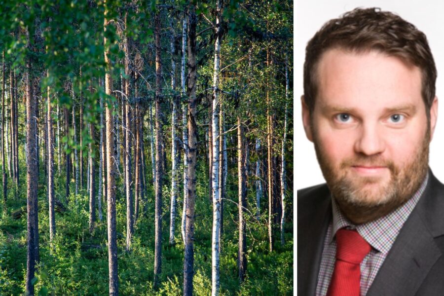 Skogspriserna faller i hela landet – ner 20% i norr - skogen (1)