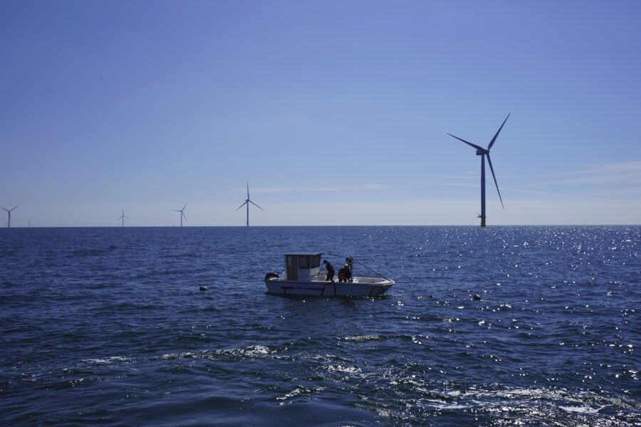 Lista: Börsbolagen som drabbas av regeringens vindkraftsbeslut - Denmark Wind Park Seafood