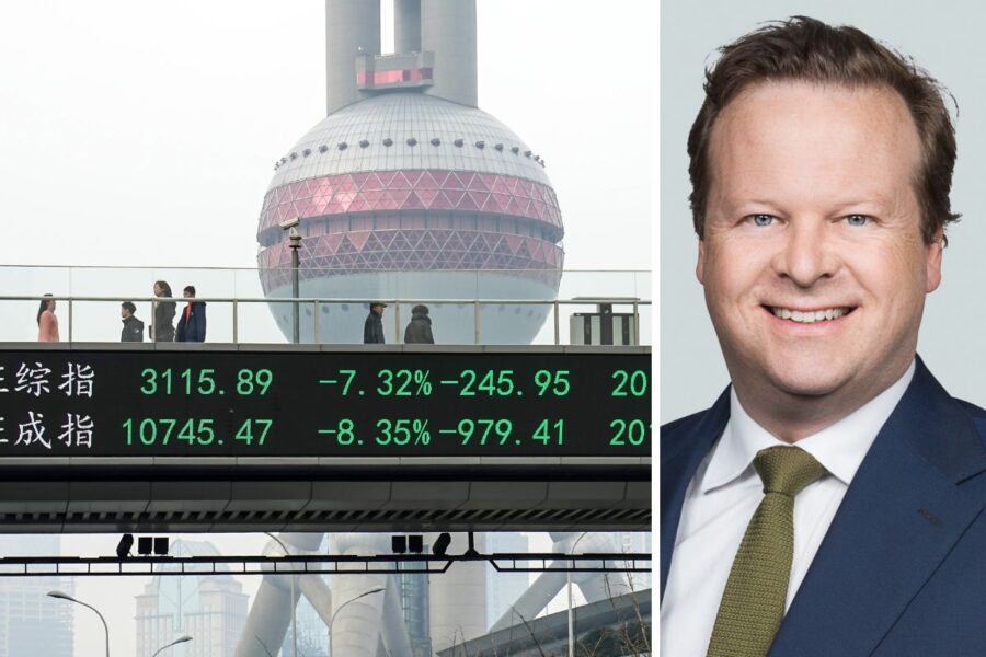 Analytiker: Skogsaktierna bör röra sig uppåt – följ smarta pengarna i Shanghai - smartmoney shanghai